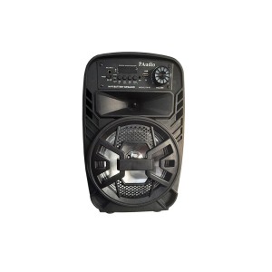 Incinta activa 8inch ABS USB/SD/FM/BT/ACCU PAudio engross