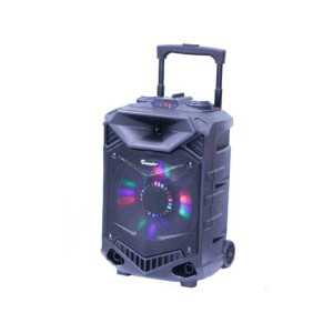 Incinta activa 12inch ABS USB/SD/FM/BT/ACCU Thunder engross