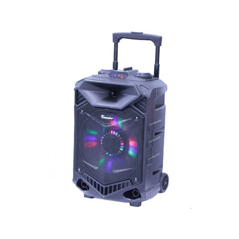 Incinta activa 12inch ABS USB/SD/FM/BT/ACCU Thunder engross