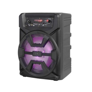 Boxa portabila 8inch BT/USB/TF/FM/ACCU AN-8808 engross