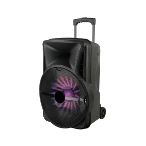 Boxa portabila 8inch BT/USB/TF/FM/ACCU AN-3308 engross
