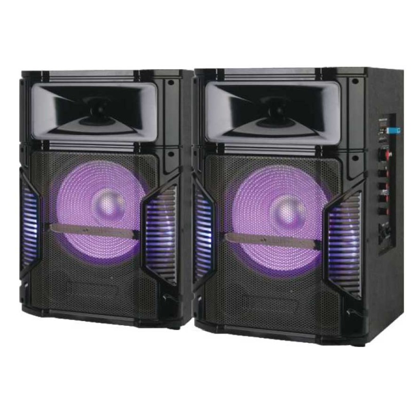 Set 2 boxe 8inch BT/USB/TF/FM AN-1008 Alien engross