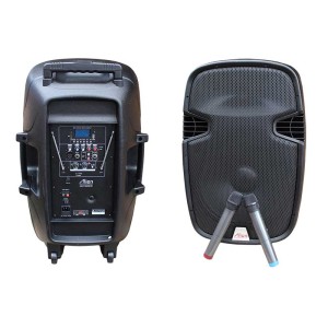 Incinta activa 15inch 2115ADM-CB USB/SD/FM/BT/ACCU/2MIC Alien engross