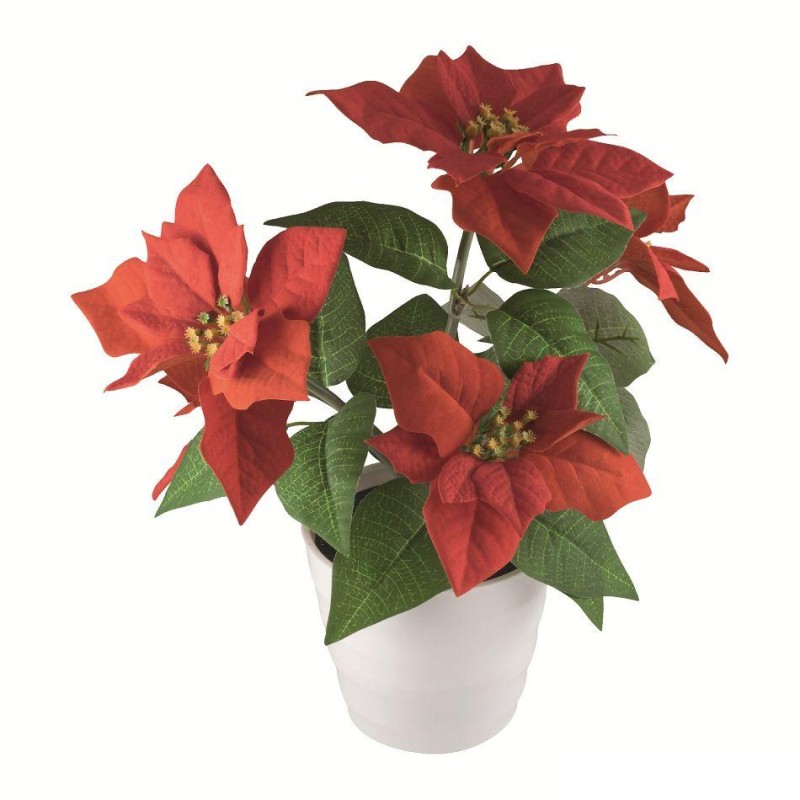 Decoratiune craciunita 5 leduri alb cald engross