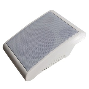 Boxa radioficare 100V SPCP401 engross