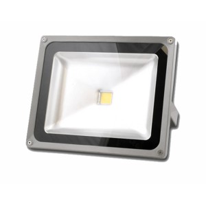 Proiector leduri 10W engross