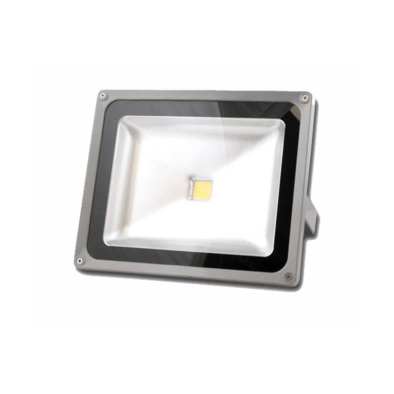 Proiector leduri 10W engross