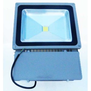 Proiector leduri 100W engross