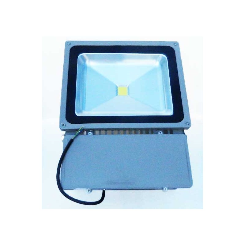 Proiector leduri 100W engross