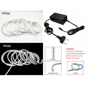 Neon decor auto 5m 12V/220V alb engross
