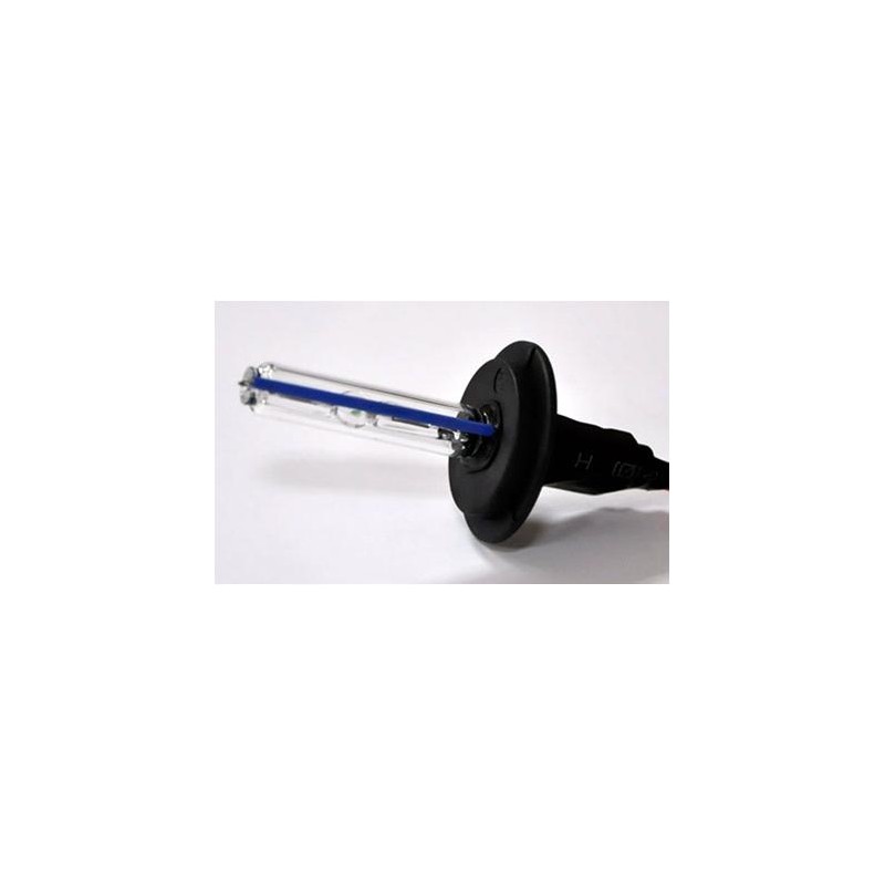 Bec xenon H3 6000K standard engross
