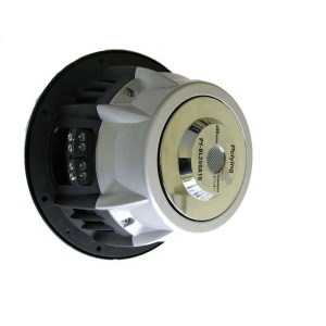 Subwoofer 10 inch pybl250 engross