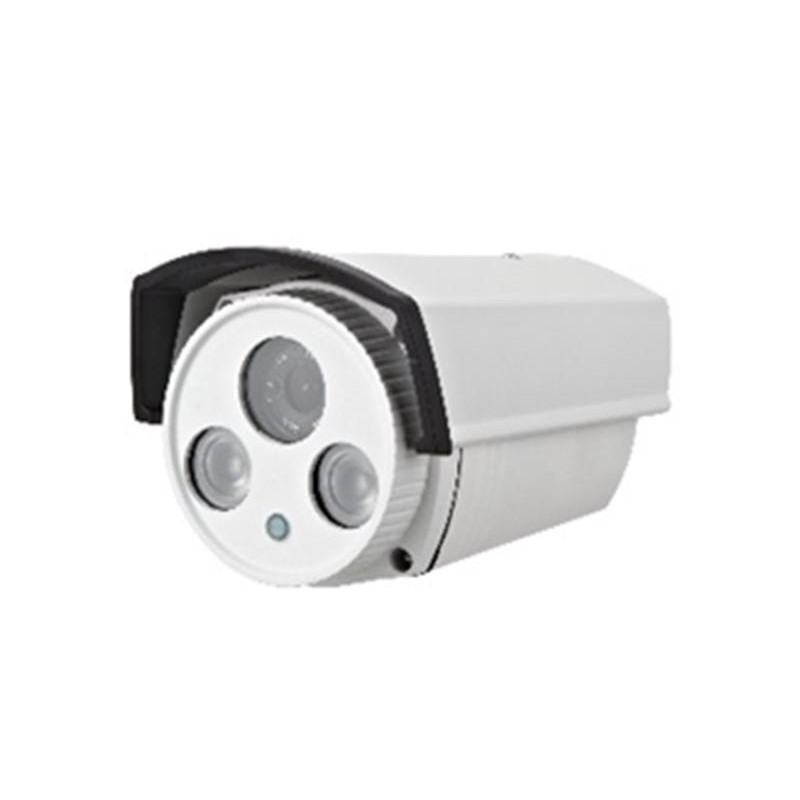 Camera supraveghere cu IP EJC130N engross