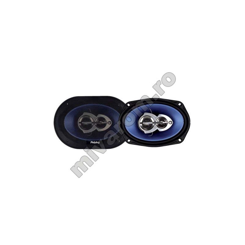 Set 2 dif auto 6x9 py694 engross
