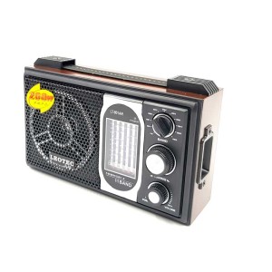 Radio Leotec LT 801 AR engross