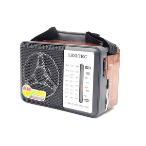 Radio Leotec LT-616 LW engross