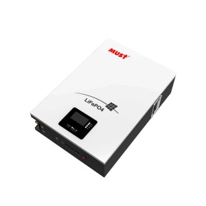 Acumulator solar Litiu LiFePo4 51,2V 50AH BMS 2,5Kw engross