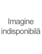 Instalatii Luminoase Craciun